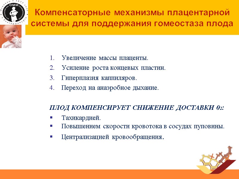 Компенсаторные механизмы плацентарной системы для поддержания гомеостаза плода Увеличение массы плаценты. Усиление роста концевых